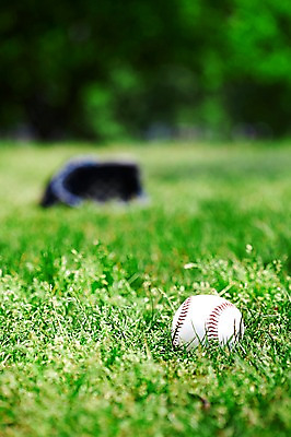 포토 JPG 주간 나무 식물 공원 스포츠용품 스포츠 컬러 백그라운드 공 레저 건강 잔디 초원 취미 사람없음 야외 아웃포커스 초록색 레포츠 세트 운동 야구 야구용품 글러브 야구글러브 풀 야구공 식물백그라운드 여의도공원 국내포토 자연요소 공공시설 장갑 촬영기법 구기 오브젝트 여의도 파일형식