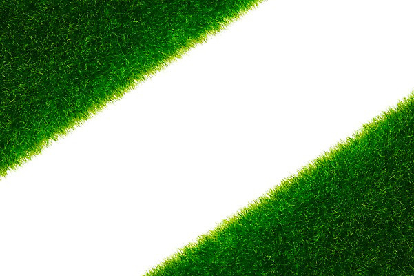 포토 JPG 스튜디오촬영 식물 컬러 백그라운드 실내 잔디 사람없음 초록색 하이앵글 식물백그라운드 국내포토 뷰포인트 내부 파일형식