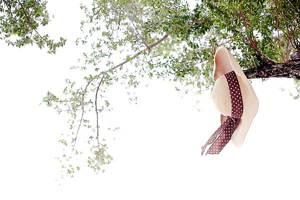 포토 JPG 주간 나무 식물 해외기획촬영 모자 2012년태국 잡화 계절 여행 잎 태국 하늘 나뭇잎 해변 사람없음 야외 여름 여름휴가 바캉스 동남아시아 나뭇가지 챙모자 코사멧 코사멧해변 국내포토 자연요소 모자_잡화 아시아 바다 휴가 파일형식 여름_계절