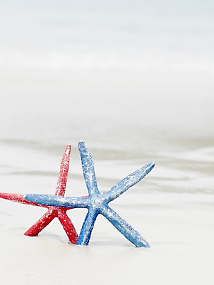 포토 JPG 주간 동물 해외기획촬영 2012년태국 계절 별 모래 바다 컬러 여행 태국 자연 어패류 불가사리 극피동물 생물 연체동물 근접촬영 해변 사람없음 야외 아웃포커스 빨간색 여름 파란색 여름휴가 바캉스 모래사장 모형 동남아시아 동물모형 코사멧 코사멧해변 국내포토 자연요소 아시아 뷰포인트 휴가 무척추동물 촬영기법 생태계 파일형식 여름_계절