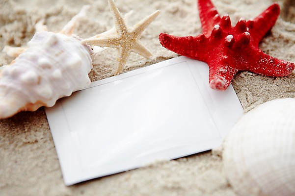 포토 JPG 주간 동물 해외기획촬영 2012년태국 계절 별 모래 여행 태국 자연 어패류 불가사리 극피동물 생물 연체동물 근접촬영 해변 사람없음 야외 아웃포커스 여름 여름휴가 바캉스 모래사장 모형 동남아시아 소라 필름 폴라로이드사진 동물모형 기념사진 코사멧 코사멧해변 국내포토 자연요소 아시아 바다 뷰포인트 휴가 무척추동물 촬영기법 생태계 폴라로이드 파일형식 여름_계절