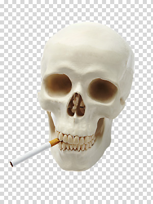 스튜디오촬영 편집이미지 캠페인 인체모형 해골 흡연 담배 실내 건강 경고 사람없음 모형 건강관리 물기 알림 오브젝트 금연 PNG 해골모형 편집소스 모션 뼈 관리 내부 사회이슈 파일형식