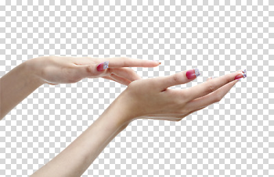 편집이미지 손 손가락 모션 관리 손짓 신체부위 뷰티 양손 네일아트 손톱 PNG 편집소스 사람 파일형식