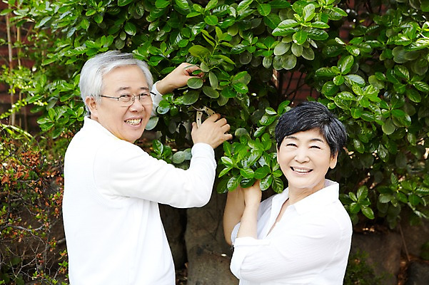 포토 JPG 주간 식물 라이프스타일 부부 커플 여자 할아버지 노년 남자 할머니 화초 여유 가위 함께함 미소 웃음 들기 사람 동양인 상반신 취미 야외 두명 옆모습 실버라이프 노후 정원 노부부 한국인 60대 원예 정원가꾸기 가지치기 노인만 국내포토 자연요소 감정 뷰포인트 컨셉 관계 모션 문구용품 표정 인종 성인 생활 성인만 파일형식