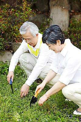 포토 JPG 주간 식물 라이프스타일 부부 커플 여자 할아버지 노년 남자 할머니 여유 밭 함께함 들기 사람 앉기 동양인 야외 두명 옆모습 실버라이프 노후 노부부 한국인 풀 잡초 60대 농기구 모종삽 가꾸기 밭일 텃밭 노인만 국내포토 자연요소 감정 뷰포인트 컨셉 농업 관계 모션 인종 성인 생활 삽 성인만 파일형식