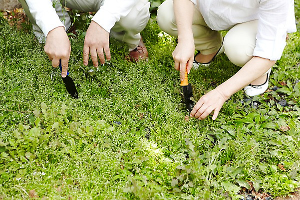 포토 JPG 주간 식물 라이프스타일 손 부부 커플 여자 할아버지 노년 남자 할머니 여유 밭 신체 함께함 들기 사람 앉기 야외 두명 신체부위 실버라이프 노후 노부부 풀 잡초 60대 농기구 모종삽 가꾸기 밭일 텃밭 노인만 국내포토 자연요소 감정 컨셉 농업 관계 모션 성인 생활 삽 성인만 파일형식