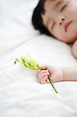 포토 JPG 식물 라이프스타일 손 여자 꽃 어린이라이프 신체 실내 한명 사람 동양인 아웃포커스 신체부위 눕기 귀여움 아기 잠 아기만 국내포토 1 어린이 컨셉 모션 촬영기법 인종 내부 생활 파일형식