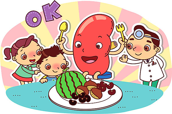 접시 응시 여자 남자 초등학생 어린이 음식 포크 의자 과일 일러스트 의학 수박 수저 건강 서기 들기 사람 손짓 소녀 소년 상반신 신체부위 치료 세명 건강관리 진료 의사 가리킴 도움 변화 신장 보호 장기 질병 OK 밤 질병관리 팥 식단 검은콩 어린이만 국내일러스트 AI파일 학생 식기 시선 가구 컨셉 신체 모션 콩 관리 견과류 의료진 비뇨기관 파일형식 벡터