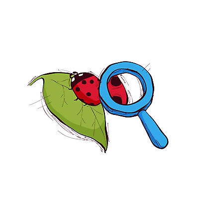 클립아트 식물 동물 아이콘 교육 곤충 잎 돋보기 나뭇잎 사람없음 관찰 벌레 딱정벌레 관측 무당벌레 자연학습 2D아이콘 AI파일 모션 체험학습 파일형식 벡터