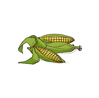 클립아트 식물 아이콘 음식 곡류 옥수수 사람없음 농작물 낟알 알맹이 음식아이콘 옥수수알갱이 2D아이콘 AI파일 농업 파일형식 벡터