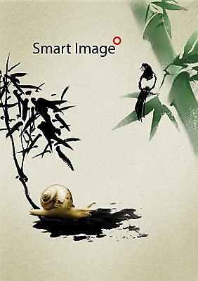 PSD 나무 식물 동물 편집이미지 두마리 조류 연체동물 무척추동물 사람없음 소라 대나무 달팽이 더듬이 이미지편집 2 어패류 파일형식