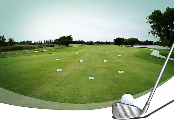 PSD 나무 편집이미지 스포츠용품 스포츠 골프 공 스포츠시설 골프장 필드 하늘 골프공 골프용품 골프클럽 풍경 잔디 초원 사람없음 초록색 레포츠 운동 구기 골프채 구멍 풀 클럽 이미지편집 식물 컬러 레저 건강 오브젝트 시설 파일형식