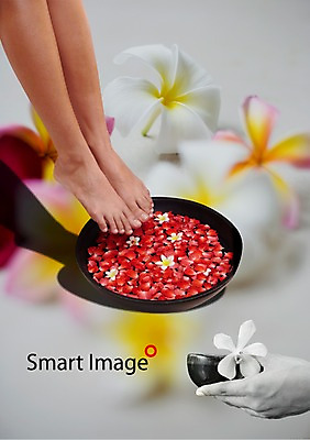 PSD 식물 편집이미지 우먼라이프 라이프스타일 그릇 손 여자 꽃잎 꽃 발 관리 들기 사람 라이프 신체부위 물 뷰티 마사지 피부관리 대야 발마사지 족욕 풋케어 믹싱볼 이미지편집 자연요소 식기 모션 생활 파일형식