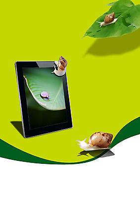 PSD 식물 동물 편집이미지 잎 여러마리 나뭇잎 연체동물 무척추동물 정보기술 사람없음 스마트기기 컴퓨터 태블릿 스크린 풀 소라 스마트 달팽이 더듬이 영상 영상물 이미지편집 다수 컨셉 어패류 기술 전자제품 파일형식