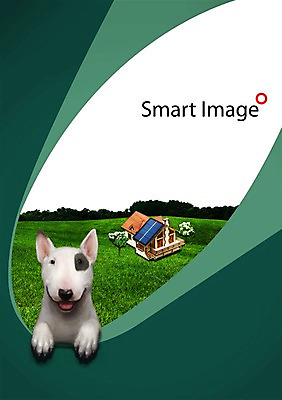 PSD 나무 식물 동물 편집이미지 한마리 건축물 포유류 주택 표정 미소 웃음 잔디 사람없음 건물 반려동물 풀 개 강아지 불테리어 반려 이미지편집 1 건축 테리어 파일형식