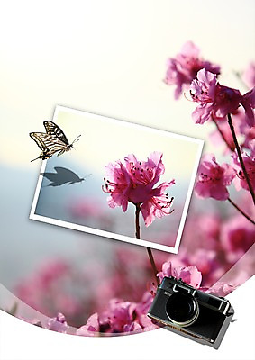 PSD 식물 동물 편집이미지 한마리 계절 꽃잎 컬러 여러송이 나비 곤충 봄꽃 자연 그림자 풍경 사람없음 카메라 사진촬영 봄 꽃술_꽃 수술 자주색 진달래 기념사진 꽃가지 이미지편집 1 꽃 다수 의학 치료 전자제품 촬영 나뭇가지 생태계 파일형식