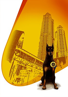 PSD 나무 식물 동물 편집이미지 한마리 건축물 건축 포유류 앉기 풍경 빌딩 사람없음 건물 반려동물 도시 강아지 배지 반려 뺏지 도베르만핀셔 이미지편집 1 모션 개 파일형식 핀셔