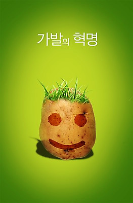 PSD 식물 편집이미지 채소 감자 잔디 사람없음 농작물 머리카락 풀 풀잎 알림 얼굴모양 가발 혁명 통감자 이미지편집 모양 얼굴 컨셉 잎 농업 머리 풀_식물 파일형식