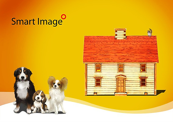 PSD 동물 편집이미지 건축물 건축 반려견 여러마리 포유류 주택 사람없음 건물 반려동물 개 강아지 다람쥐 비글 반려 버니즈마운틴독 파피용 이미지편집 다수 설치류 파일형식