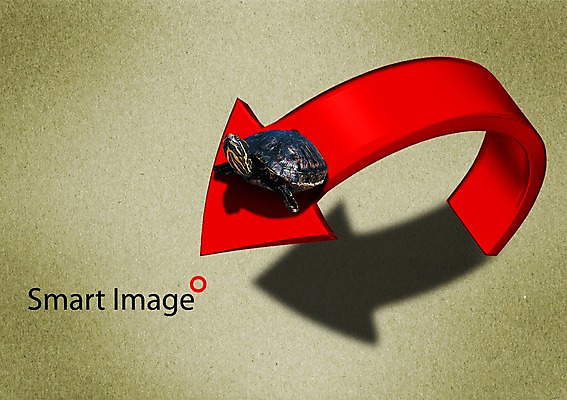 PSD 동물 편집이미지 척추동물 한마리 화살표 야생동물 컬러 파충류 생물 그림자 사람없음 빨간색 모래사장 거북이 방향 자라 이미지편집 1 바다 파일형식