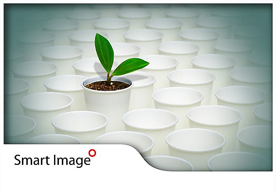 PSD 식물 편집이미지 캠페인 컬러 다수 잎 사람없음 컵 초록색 새싹 자연보호 그린캠페인 흙 풀 보호 종이컵 이미지편집 식기 컨셉 자연 일회용 파일형식