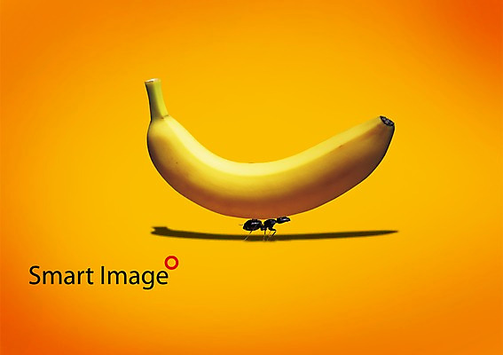 PSD 동물 편집이미지 한마리 열매 음식 컬러 곤충 절지류 과일 바나나 들기 사람없음 노란색 벌레 열대과일 개미 이미지편집 식물 1 모션 파일형식