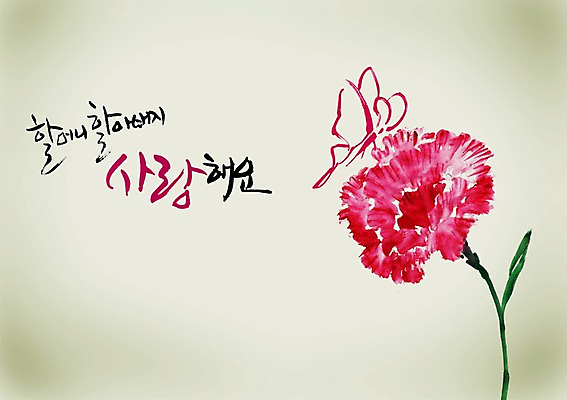 PSD 식물 동물 편집이미지 문자 손글씨 기념일 할아버지 꽃 할머니 컬러 나비 곤충 캘리배경 백그라운드 한송이 캘리편집 캘리그라피 사랑 이벤트 타이포그라피 글자캘리그라피 사람없음 빨간색 단어 부모 어버이날 5월 카네이션 5월행사 은혜 노인만 성인만 이미지편집 1 여자 노년 남자 감정 가족 날짜 송이 파일형식