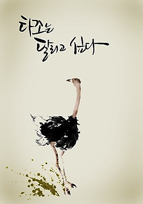 PSD 동물 편집이미지 문자 척추동물 한마리 손글씨 문장 캘리배경 백그라운드 캘리편집 캘리그라피 조류 타이포그라피 글자캘리그라피 한글 사람없음 단어 달리기 타조 이미지편집 1 모션 파일형식