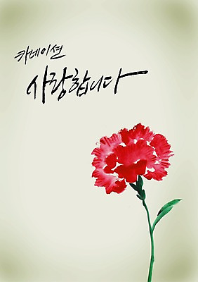 PSD 식물 편집이미지 문자 손글씨 기념일 꽃 컬러 캘리배경 백그라운드 한송이 캘리편집 캘리그라피 사랑 이벤트 타이포그라피 글자캘리그라피 사람없음 빨간색 단어 어버이날 5월 스승의날 카네이션 5월행사 이미지편집 1 감정 날짜 송이 파일형식