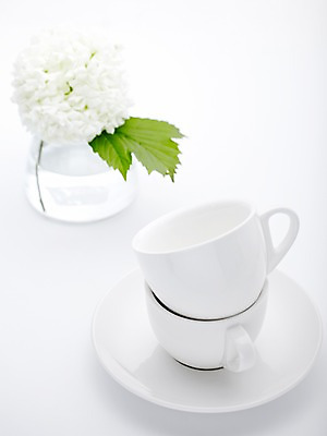 포토 JPG 스튜디오촬영 식물 그릇 식기 꽃잎 꽃 생활용품 백그라운드 잎 주방용품 잔 실내 사람없음 컵 쌓기 꽃병 커피잔 찻잔 컵받침 받침대 수국 국내포토 커피 모션 내부 오브젝트 파일형식