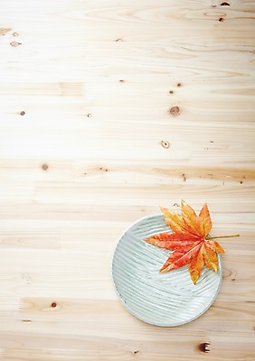 포토 JPG 스튜디오촬영 나무 그릇 식기 접시 생활용품 백그라운드 단풍 낙엽 잎 주방용품 나뭇잎 실내 사람없음 목재 아웃포커스 판넬 앞접시 국내포토 식물 재료 촬영기법 내부 오브젝트 파일형식