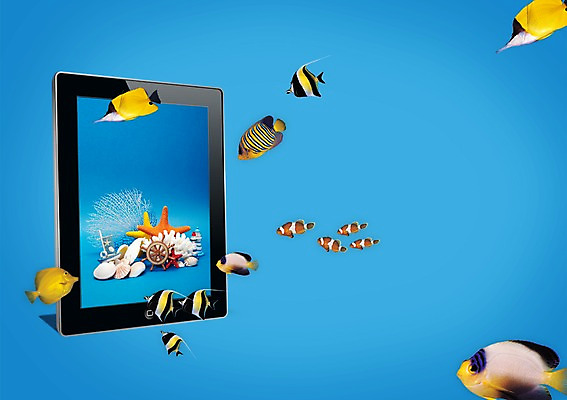 PSD 편집이미지 계절 바다 휴가 조개 불가사리 어류 사람없음 여름 여름휴가 바캉스 전자제품 컴퓨터 태블릿 스크린 바다동물 통신기기 터치 조개껍데기 열대어 물레방아 이미지편집 동물 통신 어패류 극피동물 스마트기기 수중동물 기계 파일형식 여름_계절