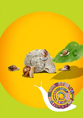 PSD 식물 동물 편집이미지 육지동물 잎 여러마리 나뭇잎 연체동물 무척추동물 갑각류 사람없음 껍질 풀 소라 달팽이 더듬이 등껍질 이미지편집 다수 어패류 파일형식