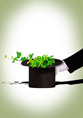 PSD 식물 편집이미지 모자 손 잡화 잎 나뭇잎 한손 그림자 한명 신체부위 놀이용품 마술 풀 오브젝트 마술도구 마술사모자 이미지편집 모자_잡화 1 사람 도구 파일형식