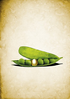 PSD 식물 편집이미지 음식 다수 식재료 콩 곡류 사람없음 초록색 빛 농작물 여러개 껍질 보석 완두콩 진주 잡곡 콩깍지 이미지편집 컬러 농업 광석 파일형식