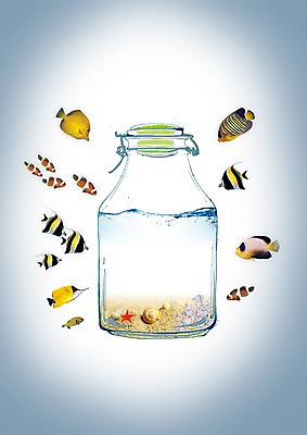 PSD 편집이미지 계절 모래 바다 휴가 유리병 불가사리 어류 해변 사람없음 물 여름 여름휴가 바캉스 모래사장 바다동물 소라 병 열대어 달팽이 이미지편집 자연요소 동물 식기 병_용기 어패류 극피동물 연체동물 수중동물 파일형식 여름_계절