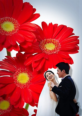 PSD 식물 편집이미지 커플 응시 드레스 여자 남자 꽃 행복 신부 컬러 커플라이프 웨딩드레스 신랑 결혼 안기 사랑 서기 미소 웃음 사람 동양인 정장 턱시도 손짓 상반신 성인 두명 빨간색 손잡기 한국인 축하 춤 즐거움 커플댄스 성인만 이미지편집 라이프스타일 시선 옷 감정 컨셉 관계 모션 문화예술 표정 인종 이벤트 파일형식