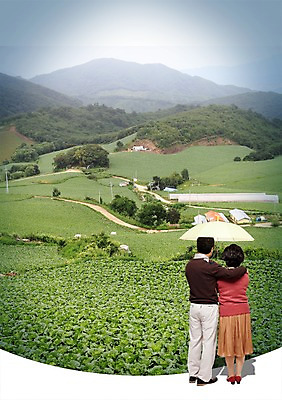 전신 PSD 나무 식물 편집이미지 건축물 부부 커플 응시 여자 노년 남자 길 밭 가로등 우산 어깨동무 산 주택 서기 들기 사람 풍경 손짓 성인 두명 건물 뒷모습 농작물 농경지 노부부 안개 시골 풀 배추 비닐하우스 배추밭 노인만 성인만 이미지편집 시선 공공시설 건축 뷰포인트 포즈 농업 채소 관계 모션 날씨 농장 파일형식