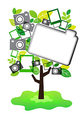 나무 식물 배너 백그라운드 잎 일러스트 나뭇잎 안내 프레임 틀 사람없음 전자제품 카메라 사진촬영 알림 기념사진 국내일러스트 AI파일 촬영 파일형식 벡터