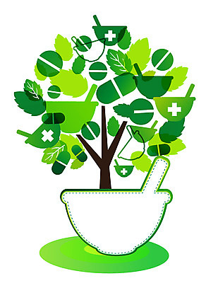 나무 식물 배너 백그라운드 잎 일러스트 의학 나뭇잎 안내 프레임 틀 사람없음 치료 알약 약 사발 알림 막자사발 막자 국내일러스트 AI파일 사기그릇 파일형식 벡터