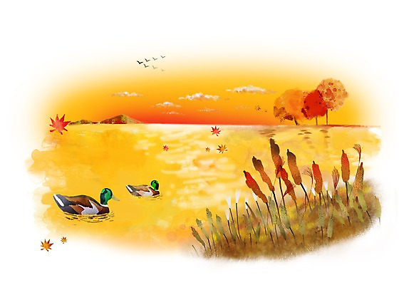 PSD 나무 식물 동물 사계절 계절 호수 백그라운드 두마리 일러스트 조류 오리 갈대 풍경 사람없음 노을 일몰 가을 청둥오리 가을배경 국내일러스트 자연요소 2 파일형식 가을_계절