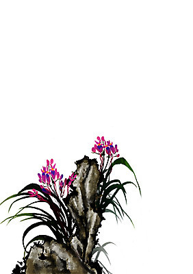 PSD 식물 한국전통 전통 꽃 아시아 전통문화 백그라운드 일러스트 붓터치 수묵화 사람없음 돌_바위 바위 난초 동양화 그림 난초꽃 동양란 국내일러스트 나라 문화 한국 미술 파일형식