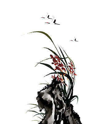 PSD 식물 동물 한국전통 전통 꽃 아시아 전통문화 백그라운드 일러스트 조류 붓터치 세마리 수묵화 사람없음 학 돌_바위 바위 난초 동양화 그림 난초꽃 동양란 국내일러스트 나라 문화 한국 3 미술 파일형식