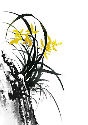 PSD 식물 한국전통 전통 꽃 아시아 전통문화 백그라운드 일러스트 붓터치 수묵화 사람없음 돌_바위 바위 난초 동양화 그림 난초꽃 동양란 국내일러스트 나라 문화 한국 미술 파일형식