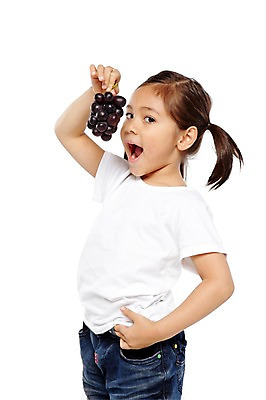 포토 JPG 스튜디오촬영 외국인 해외기획촬영 라이프스타일 웰빙 2012년태국 여자 어린이라이프 어린이 음식 과일 자연 양갈래머리 포도 실내 건강 입벌림 한명 서기 들기 누끼 사람 소녀 상반신 옆모습 농작물 귀여움 환경 유치원 유치원생 반팔티셔츠 청바지 신선 먹기 친환경 유기농 여자만 여자한명만 어린이만 소녀만 소녀한명만 국내포토 1 헤어스타일 교육 뷰포인트 컨셉 티셔츠 농업 바지 모션 표정 인종 내부 생활 생태계 파일형식