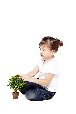 포토 JPG 스튜디오촬영 전신 외국인 나무 식물 해외기획촬영 라이프스타일 웰빙 2012년태국 여자 어린이라이프 화분 어린이 자연 실내 한명 누끼 사람 앉기 소녀 옆모습 귀여움 환경 유치원 유치원생 반팔티셔츠 청바지 친환경 유기농 원예 여자만 여자한명만 어린이만 소녀만 소녀한명만 국내포토 1 교육 뷰포인트 컨셉 티셔츠 바지 모션 인종 취미 내부 생활 생태계 파일형식