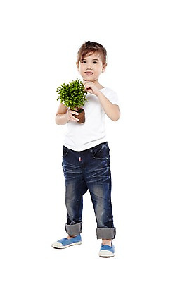 포토 JPG 스튜디오촬영 전신 외국인 나무 식물 해외기획촬영 라이프스타일 웰빙 2012년태국 여자 어린이라이프 화분 어린이 자연 실내 한명 서기 미소 웃음 들기 누끼 사람 소녀 앞모습 귀여움 환경 유치원 유치원생 반팔티셔츠 청바지 친환경 유기농 원예 여자만 여자한명만 어린이만 소녀만 소녀한명만 국내포토 1 교육 뷰포인트 컨셉 티셔츠 바지 모션 표정 인종 취미 내부 생활 생태계 파일형식