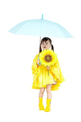 포토 JPG 스튜디오촬영 전신 외국인 식물 해외기획촬영 라이프스타일 응시 2012년태국 잡화 계절 여자 꽃 어린이라이프 어린이 우산 날씨 해바라기 실내 장화 한명 서기 들기 누끼 사람 소녀 앞모습 여름 귀여움 유치원 유치원생 비 우비 장마 여자만 여자한명만 어린이만 소녀만 소녀한명만 국내포토 자연요소 1 시선 옷 교육 뷰포인트 신발 컨셉 모션 인종 내부 생활 비_날씨 파일형식