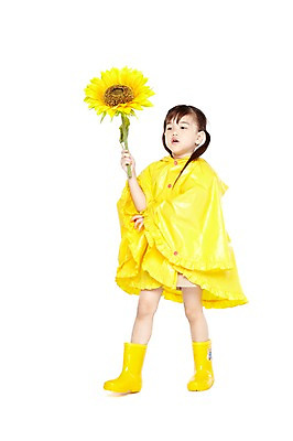 포토 JPG 스튜디오촬영 전신 외국인 식물 해외기획촬영 라이프스타일 응시 2012년태국 계절 여자 꽃 어린이라이프 어린이 날씨 해바라기 실내 장화 한명 서기 들기 누끼 사람 소녀 앞모습 여름 귀여움 유치원 유치원생 비 우비 장마 여자만 여자한명만 어린이만 소녀만 소녀한명만 국내포토 자연요소 1 시선 옷 교육 뷰포인트 신발 컨셉 모션 인종 내부 생활 비_날씨 파일형식