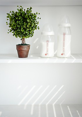 포토 JPG 스튜디오촬영 나무 식물 잡화 화분 화초 생활용품 선반 실내 통 사람없음 아기용품 우유 풀 우유병 젖병 병 오브젝트 분유 국내포토 식기 가구 병_용기 유제품 내부 파일형식